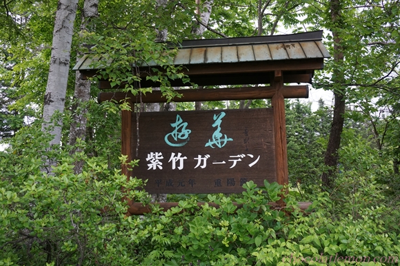北海道ガーデン街道 紫竹ガーデンへ 花好きは必見の癒しスポット 6月の様子をご紹介 ときめきライツを探して