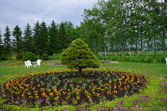 紫竹ガーデン１１