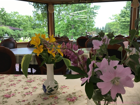 紫竹ガーデンカフェ１１